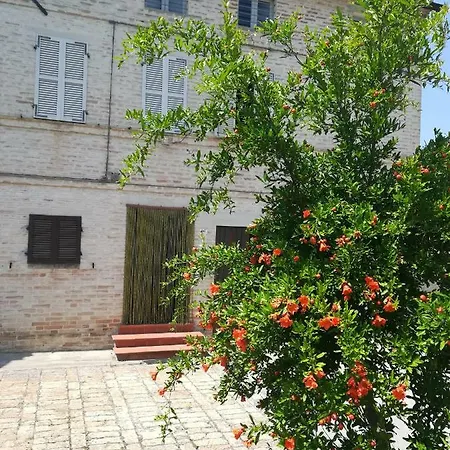 別荘 Da Peppa Grottazzolina